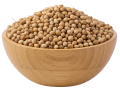 Coriander Seeds