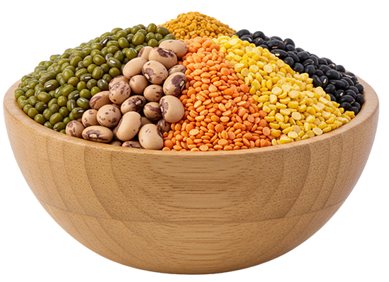 Pulses